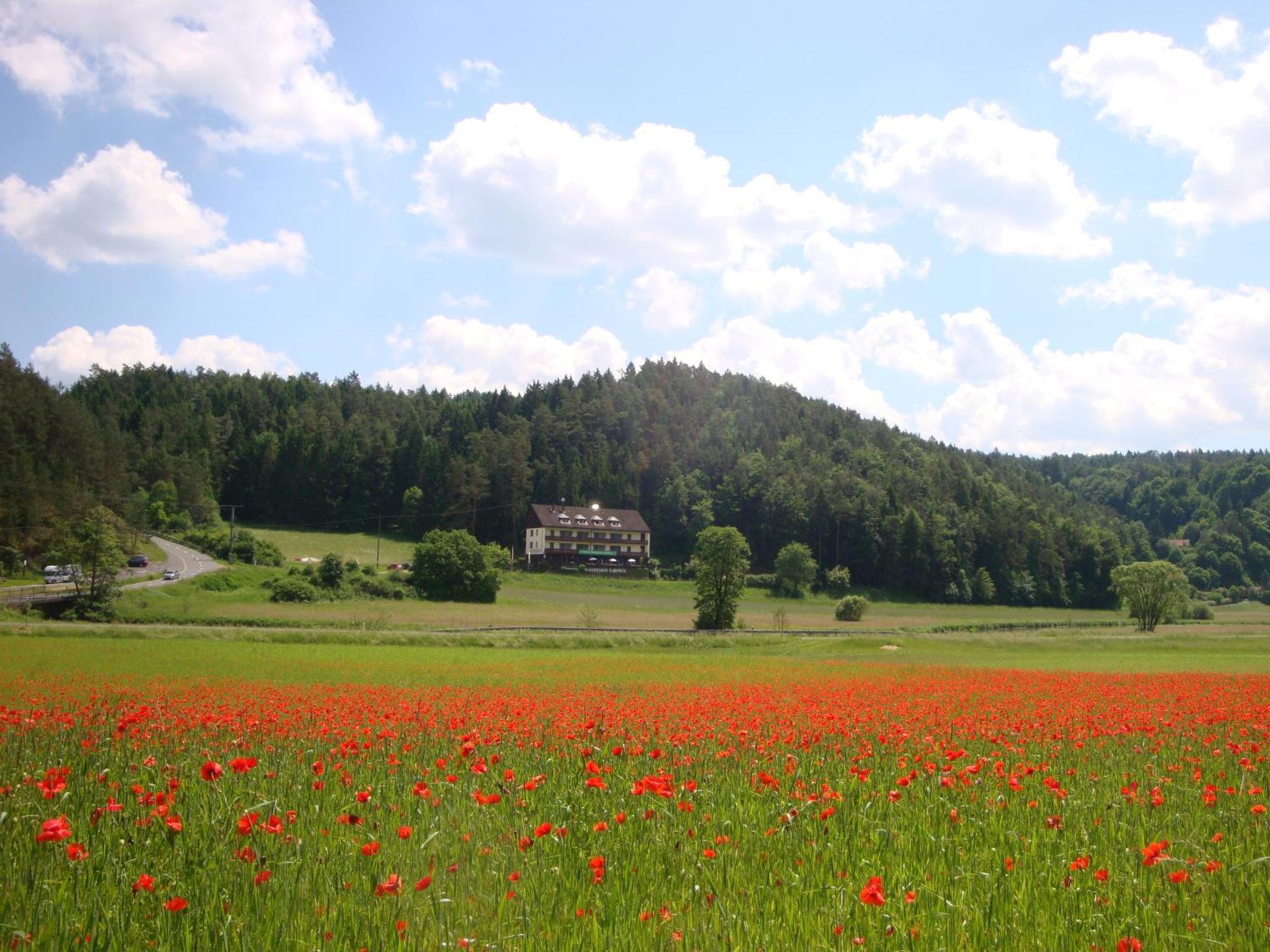 Waldpension Rabeneck Hotel Waischenfeld Exterior photo